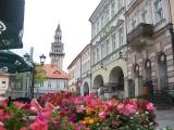 Rynek