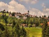 Trogen Trogen
