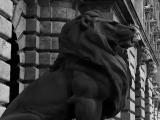 Keeper in the Buda Castle