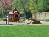 Radebeul (SN) - Blick auf den Spielplatz von Schloss Wackerbarth Radebeul (SN) - Blick auf den Spielplatz von Schloss Wackerbarth