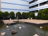 Kamotsuru Park in Hiroshima(加茂鶴公園 広島) Kamotsuru Park in Hiroshima(加茂鶴公園 広島)