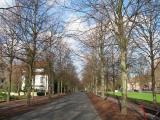 Promenade im Winter