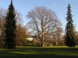 Slatinany Chateau park II. Slatinany Chateau park II.