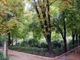 Parque de San Julián Parque de San Julián