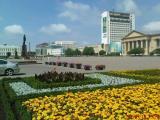 Площадь Ленина Площадь Ленина