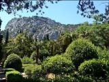 park in Simeiz park in Simeiz