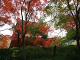 三滝寺 紅葉 2 三滝寺 紅葉 2
