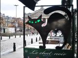 Le chat noir.. Le chat noir..