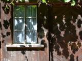 Schatten aus alten Zeiten Schatten aus alten Zeiten