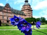 Blüten und Schloss