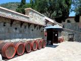 Castel Winery Castel Winery