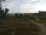 Городище "Чайка" - общий вид