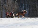 Зимний день... Зимний день...