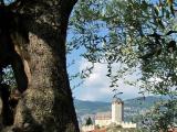 Malcesine Malcesine