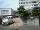 Spot garden & Cute car Spot garden & Cute car