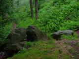 Rocks Rocks