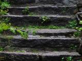 Stairs in castle Bolczów Stairs in castle Bolczów