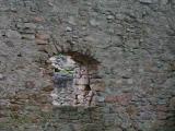 Window in castle Bolczów Window in castle Bolczów