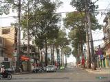 Đường - Nguyễn Tri Phương - Street Đường - Nguyễn Tri Phương - Street