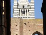 SIENA 0164 - Cattedrale di Santa Maria Assunta 