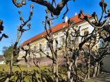 Dachau, Schloß und winterlicher Laubengang Dachau, Schloß und winterlicher Laubengang
