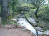 Sant Daniel Sant Daniel