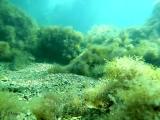Морское дно