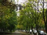Осень на юге Осень на юге