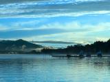 lake Yamanakako