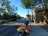 2012, Summer Morning Sidewalk, Carson City, NV 2012, Summer Morning Sidewalk, Carson City, NV