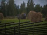 Jamtli Jamtli