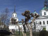 Кашин. Церковь Петра и Павла. Кашин. Церковь Петра и Павла.