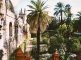   ✯ JARDINES REALES