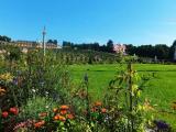 Sanssouci-- im Spätsommer Sanssouci-- im Spätsommer