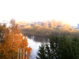 Autumn Golden Autumn Golden