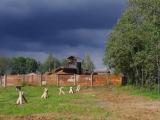 "Волга-Волга" "Волга-Волга"