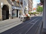 Mit dem Pferde durch Erfurt Mit dem Pferde durch Erfurt