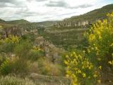 Cuenca-genêts de Jucar Cuenca-genêts de Jucar