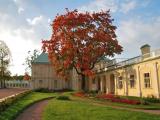 Autumn - fall Autumn - fall