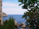 Крым, Симеиз, Пляж "Камни", июль 2007 / Simeiz, South Crimea, Nude beach