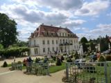Das ist ein Flair : romantische Geigenklänge vom Balkon, dazu Ziegenkäse im Weinblatt an hausgeräuchertem Birnensorbet . . . - RADEBEUL Das ist ein Flair : romantische Geigenklänge vom Balkon, dazu Ziegenkäse im Weinblatt an hausgeräuchertem Birnensorbet . . . - RADEBEUL