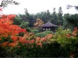 銀閣寺