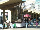Farmers Market at the Downtown Mall 2 Farmers Market at the Downtown Mall 2