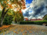 Golden Fall Golden Fall