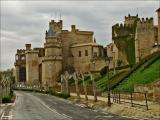 40511-001 OLITE 40511-001 OLITE
