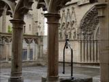 40511-009 OLITE 40511-009 OLITE
