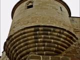 40511-018 OLITE 40511-018 OLITE