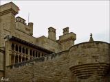 40511-019 OLITE 40511-019 OLITE