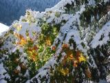 Autunno che preannuncia l'inverno a Scuol Autunno che preannuncia l'inverno a Scuol