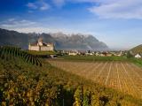 Castle of Aigle